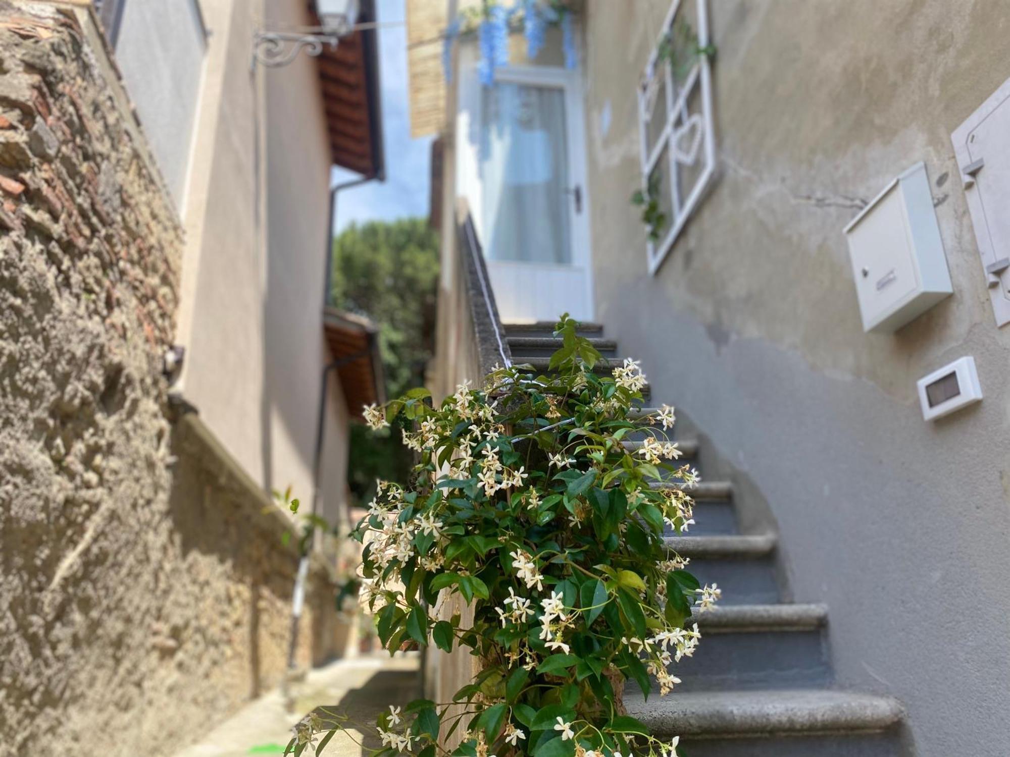 La Petite Maison Usigliano Esterno foto